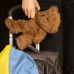 Українські Національні Новини (УНН)