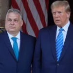 Українські Національні Новини (УНН)