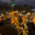 Українські Національні Новини (УНН)