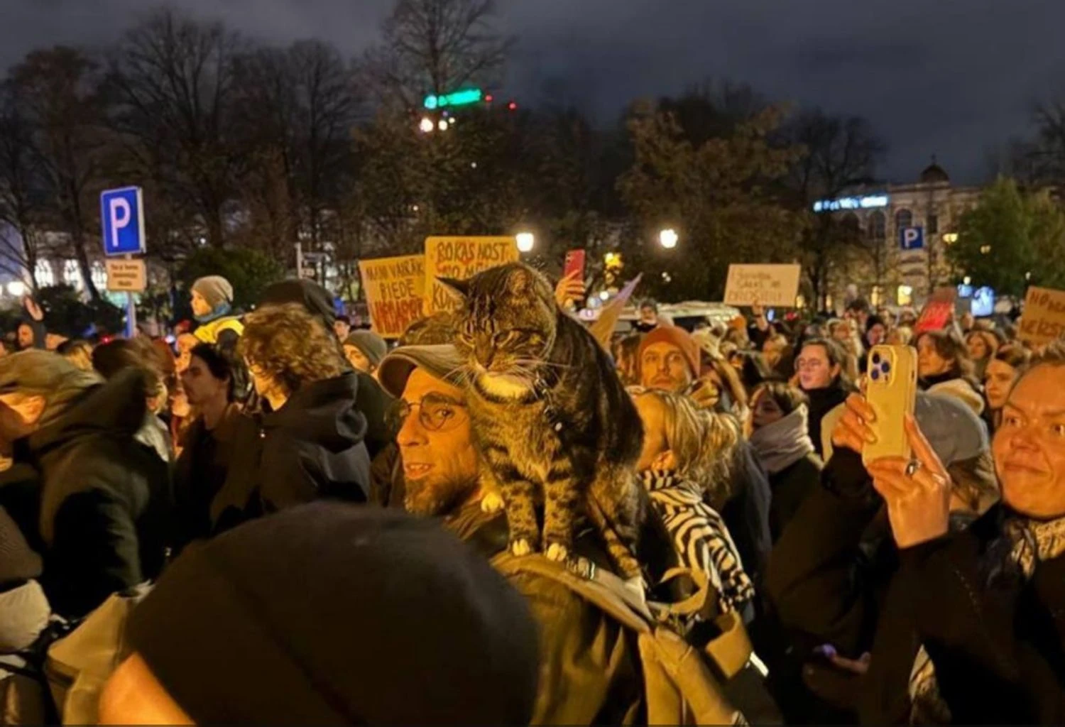 Українські Національні Новини (УНН)