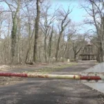 У лісі в Німеччині знайшли тіло 19-річної українки - ЗМІ