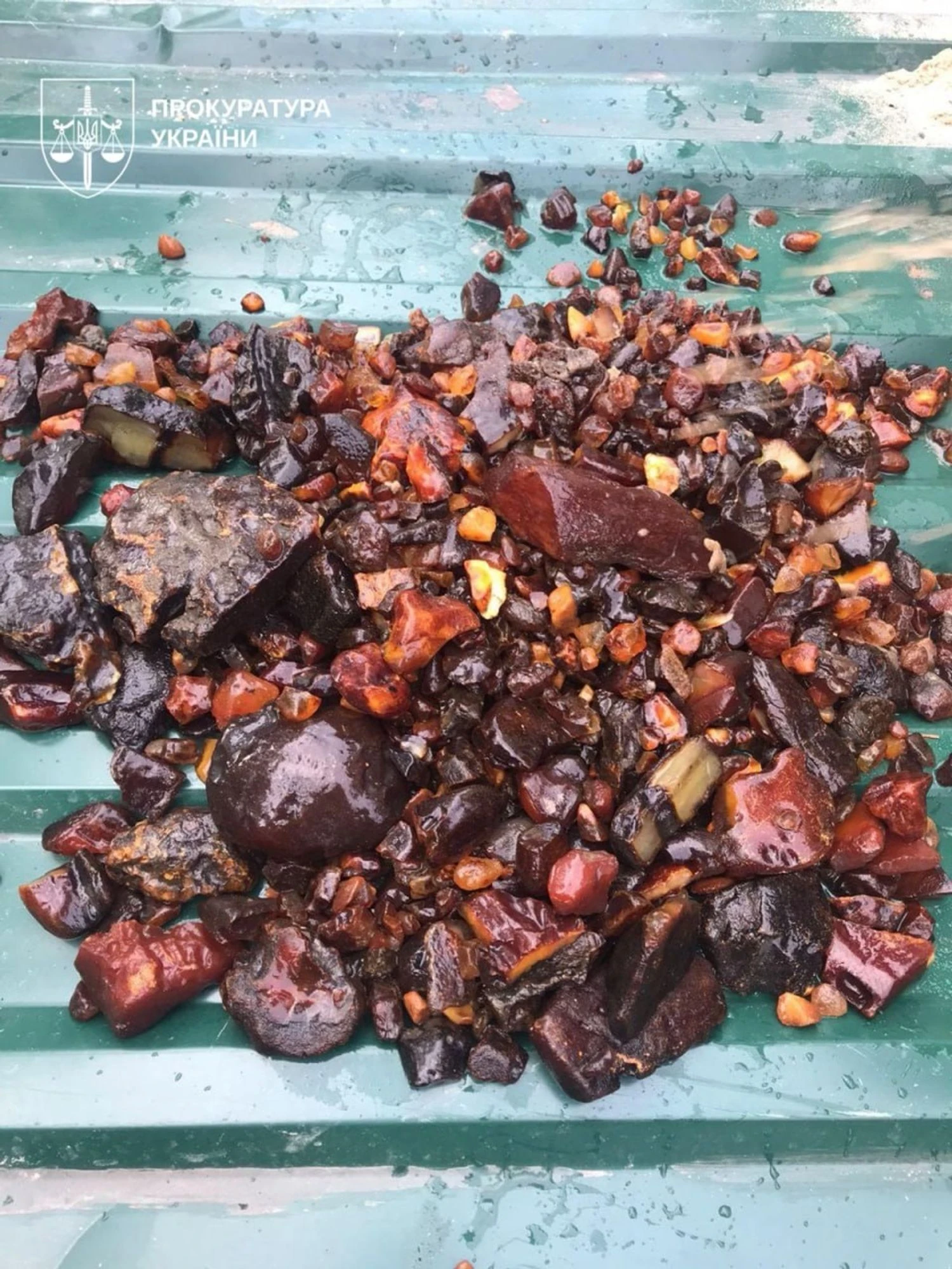 На Рівненщині викрили