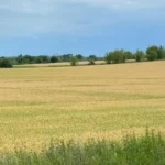 Прокуратура Київщини домоглася повернення тисяч гектарів землі державі