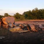Катастрофа Су-24М на Хмельниччині: слідчі розпочали аналіз даних бортового самописця